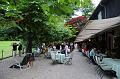 Bild 638